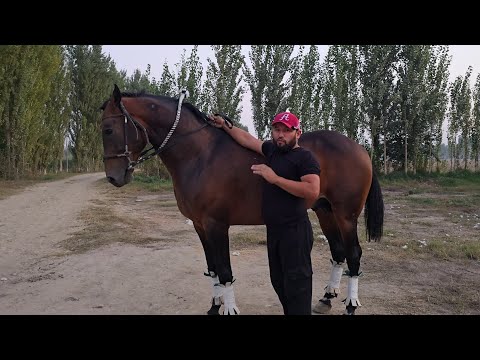 Видео: БАЙ БАЙ БУНИСИНИ КУРИНГ....
