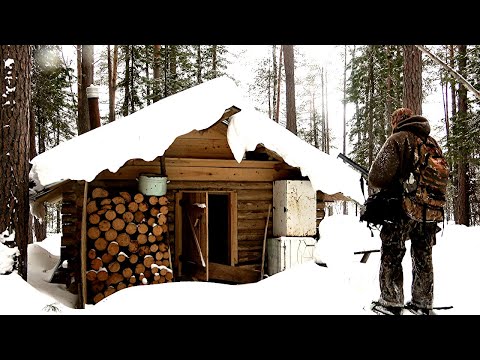 Видео: Нашёл новую избу в тайге. Почему я хожу по чужим избам.