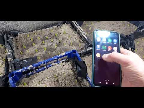 Видео: Выгонка тюльпанов к 8 марта. Самое дешовое освещение. Приборы измерения при выгонке.