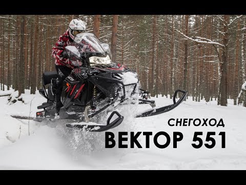 Видео: Cнегоход Вектор 551 - подробно