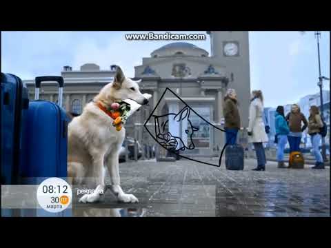 Видео: Заставки рекламы (Первый канал, 01.09.2015-19.12.2018)