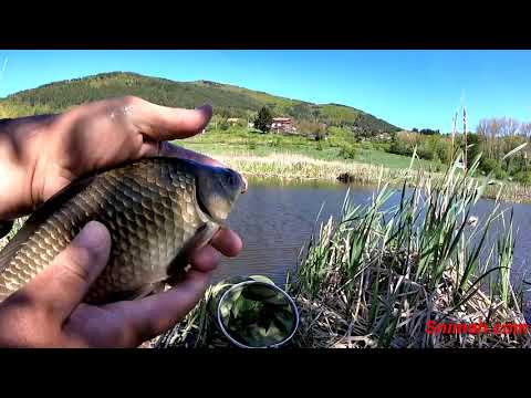 Видео: Риболов на язовир Мърчаево