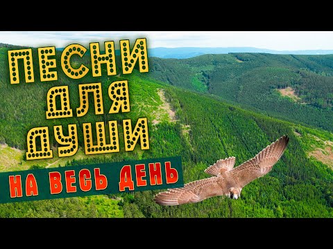 Видео: ПЕСНИ ДЛЯ ДУШИ НА ВЕСЬ ДЕНЬ 💥 СЛУШАЙ И КАЙФУЙ 💥 ПОПРОБУЙ НЕ ПОДПЕВАТЬ 2022