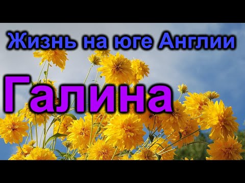 Видео: Жизнь на юге Англии.Галина