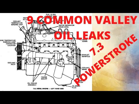 Видео: 7.3 POWERSTROKE РАСПРОСТРАНЕННЫЕ И РЕДКИЕ УТЕЧКИ МАСЛА В ВЭЛЛИ...........