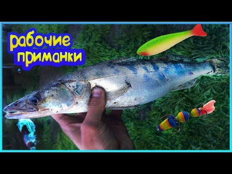 Видео: ЛОВЛЯ СУДАКА НА СПИННИНГ | Приманки которые ЛОВЯТ|Рыбалка 2019 |Протока Оби