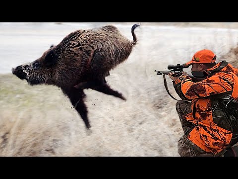 Видео: ЭТО КАБАН ЛЕТАЕТ! Лучшая охота на кабана,