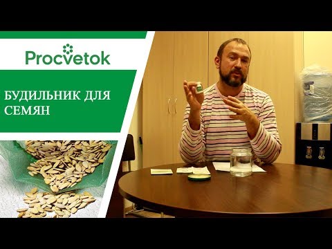 Видео: Как повысить всхожесть семян - простой способ.