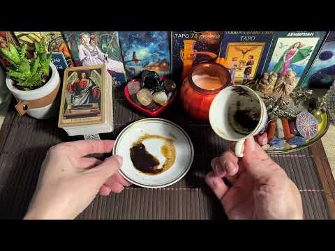 Видео: Чашка дня‼️