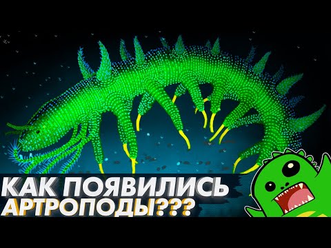 Видео: ОТКУДА появились АРТРОПОДЫ (Часть №1) | ЭВОЛЮЦИЯ АРТРОПОД | Онихофоры | Аномалокарис | Тихоходка