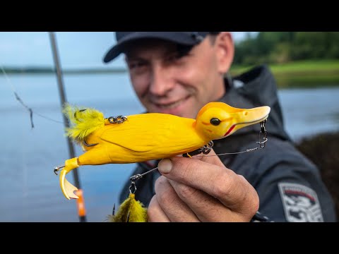 Видео: Дикие поклёвки на Утенка! Duck fishing! Креативные приманки возвращаются на летнем Иртыше.