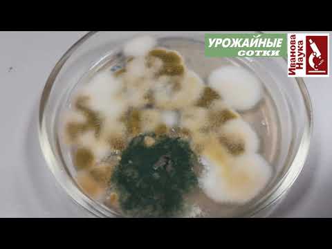 Видео: Биоразряд - обман или толковый препарат? Разложил все по полочкам.