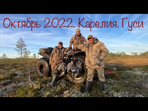 Видео: Охота на гуся. Карелия осень 2022