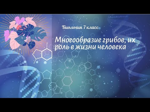 Видео: Биология 7 кл Пасечник $6 Многообразие грибов, их роль в жизни человека