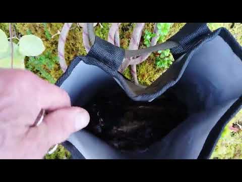 Видео: Пяозеро 2025