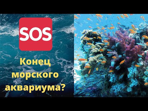 Видео: Часть 20 Конец морского аквариума?