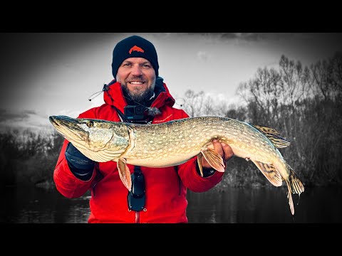 Видео: Монстри АТАКУЮТЬ! Десна ЖИВА - щука готуєься до зими!