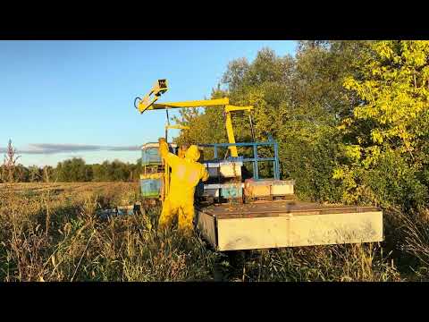 Видео: Перевозка пчёл с поля на домашнюю зимовку. 