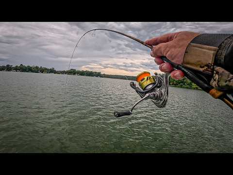 Видео: Эта тактика СМЕРТЕЛЬНО опасна для осенних краппи!