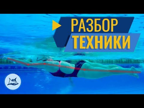 Видео: РАЗБОР ТЕХНИКИ ПЛАВАНИЯ КРОЛЕМ КАК ПЛАВАТЬ ЕЩЕ БЫСТРЕЕ