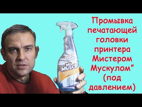 Видео: Промывка печатающей головки принтера Epson (Мистером Мускулом)