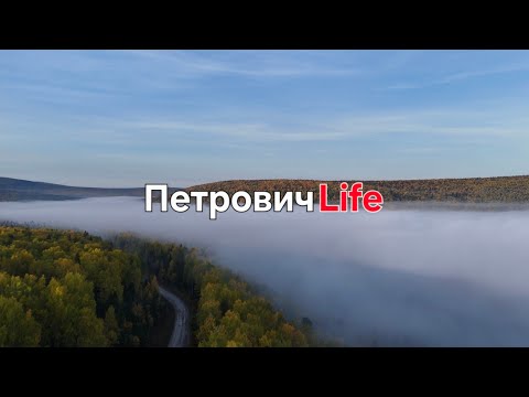 Видео: ОЧЕЙ ОЧАРОВАНИЕ....  МНОГО МЕДВЕДЕЙ НО ВСЕ НЕ НАШИ