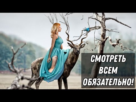 Видео: СМОТРЕТЬ ВСЕМ ОБЯЗАТЕЛЬНО - СХЕМЫ ЛЮДОЕДОК!