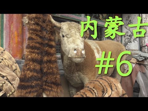 Видео: ዦ 10 ዣ Монгольский кумыс. Прогулки по рынку. Ч1