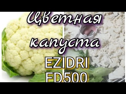 Видео: Цветная капуста в сушилке EZIDRI FD500. (06.20) 5AFamily