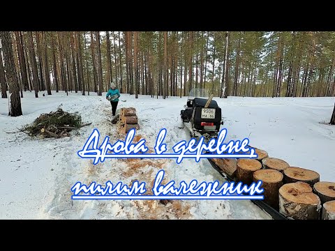 Видео: Заготовка дров в деревне, пилим валежник.
