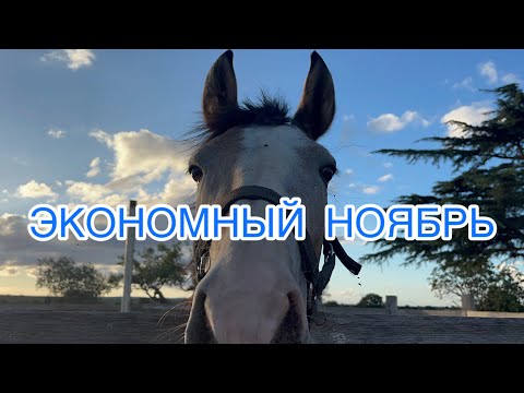 Видео: ДЕНЬ 14-17🍀Экономный ноябрь 2024🍀#экономлю #запасы #еда #деньги