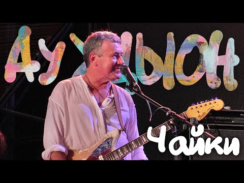 Видео: АукцЫон - Чайки