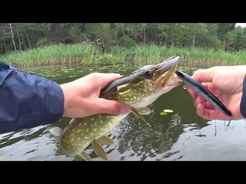 Видео: Lucky Craft Flash Minnow 110SP. Все результативные поклевки за сезон