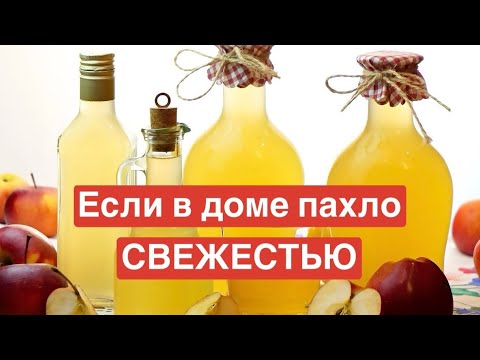 Видео: Если ты хочешь, чтобы в доме пахло СВЕЖЕСТЬЮ — примени этот фокус с уксусом и корицей.