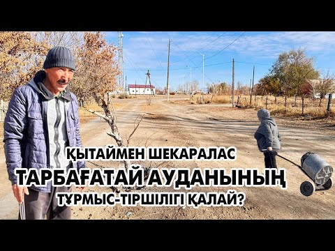 Видео: Қытаймен шекаралас Тарбағатай ауданының тұрмыс-тіршілігі қалай?