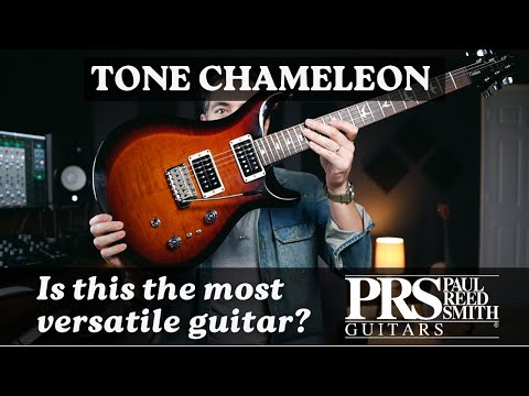 Видео: Самая универсальная гитара из всех, что у меня есть! PRS S2 Custom 24