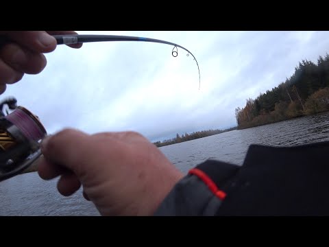 Видео: НАЧАЛОСЬ ... ОСЕННИЙ ЖОР ЩУКИ !!! КАК ЖЕ Я ЭТОГО ЖДАЛ !!!