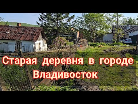 Видео: Хотели бы держать кур, живя в городе?? Тогда  ВАМ сюда. ВЛАДИВОСТОК бывает РАЗНЫЙ.