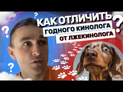 Видео: Как отличить годного кинолога от лжекинолога