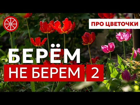 Видео: Ошибки в цветниках | Что делает сад дешёвым?