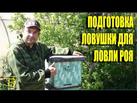 Видео: ПОДГОТОВКА ЛОВУШКИ ДЛЯ ЛОВЛИ БРОДЯЧЕГО РОЯ. ЛОВЛЯ РОЕВ ИЛИ ПЧЕЛЫ БЕСПЛАТНО ЧАСТЬ 1 #РОЙ #ЛОВУШКА