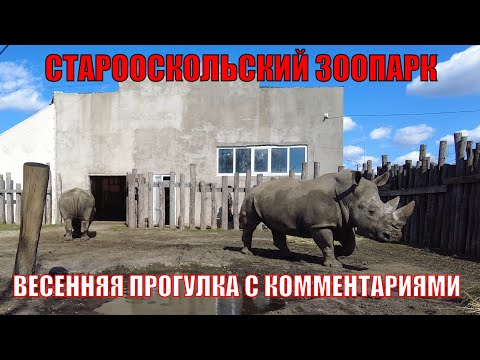 Видео: Старооскольский Зоопарк|Что нового за пол года|Прогулка с комментариями|4K
