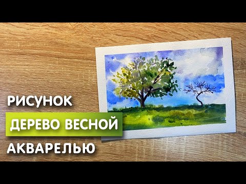 Видео: Как нарисовать дерево весной карандашом и акварелью начинающим | Рисунок для детей