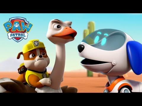 Видео: Робо Куче спасява Рабъл от избягал щраус! - PAW Patrol Bulgarian - карикатури за деца
