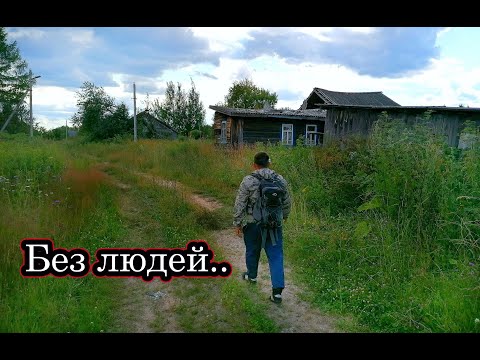 Видео: ЗАБРОШЕННЫЕ ДЕРЕВНИ НА ВЕТЛУГЕ. По всюду дикие животные.  Живём в машине 4 дня. ЗАБРОШЕННЫЕ МАШИНЫ.