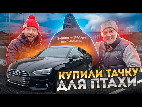 Видео: Купили Ауди А5 для Птахи в Липецке.