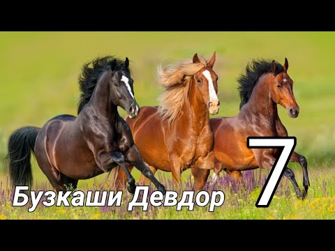Видео: Бузкаши дар н Балчувон д Девдор Кисми 7. 21.03.2023