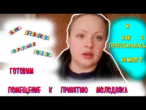 Видео: ПОДГОТОВКА ПОМЕЩЕНИЯ ДЛЯ ПРИНЯТИЯ МОЛОДНЯКА| ДЕЗИНФЕКЦИЯ