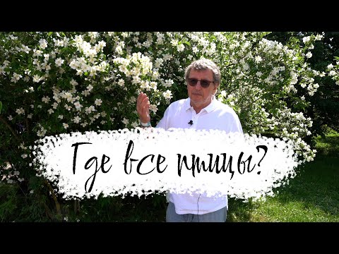 Видео: Парк Птиц - идея для выходных