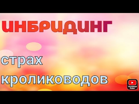 Видео: Близкородственные связи среди кроликов.